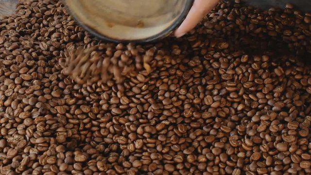 Coffee Roasts Vintage Origins Selections from Light to Dark