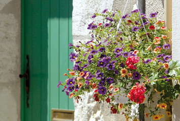 Fototapeta na wymiar fleurs multicolores suspendues à côté d'une porte verte