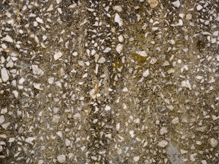 Texture of old colored concrete. Mockup. Background