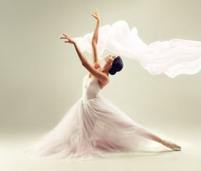     Ballerina. Young graceful woman ballet dancer, dressed in professional outfit, shoes and white weightless skirt is demonstrating dancing skill. Beauty of classic ballet. 
 - obrazy, fototapety, plakaty