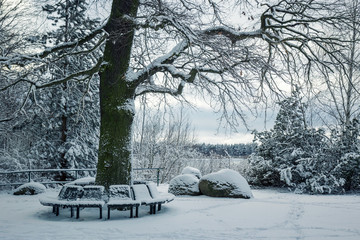 Winter am See