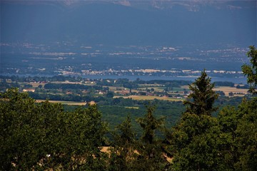 avignon
