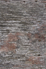 old rustic gray wood surface background