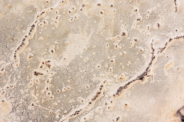 Fototapeta na wymiar Bottom Hubs that look like a dried up salt lake. A photo close up. A unique background.