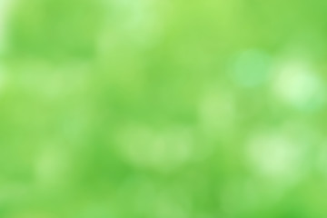 Obraz premium Abstract Blur Green Leaf Backgrounds