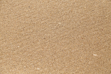 Sand Texture Background.
