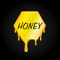 Honeycomb and honey dripping on black background, vector, illustration, eps file