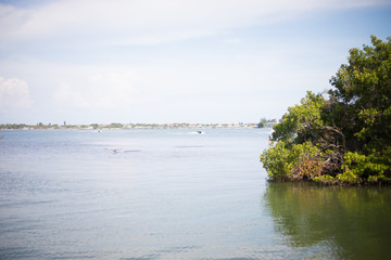 Peaceful Outdoor Scene of Ocean Bay, Islands, and Nature