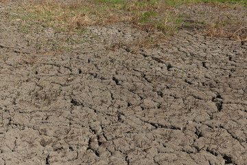 Cracked earth background texture. Abstract texture for background