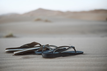Flip Flop