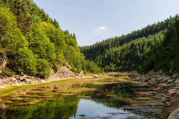 Naklejka na ściany i meble A beautiful shallow lake in a small canyon surrounded by forest and trees