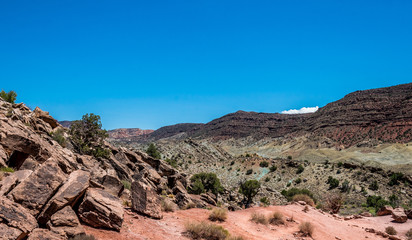 Desert landscape of Utah, USA. Weathered rocks, clear blue sky and desert bushes