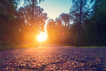 Asphalt path in the park in the evening at sunset