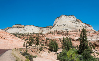 Fototapeta na wymiar Zion National Park, Utah, USA. Road in the stone desert
