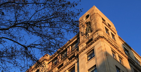 Edificio, sol,cielo,ramas