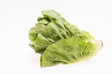 Frischer Salat isoliert auf weißem Hintergrund