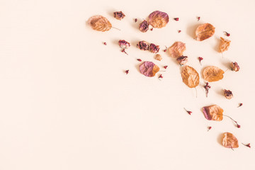 Autumn floral composition. Frame made of dried flowers and leaves on pastel beige background. Autumn, fall concept. Flat lay, top view, copy space