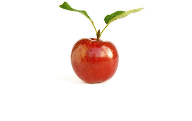 Gala or Red apple with fresh leaf and space on white background.