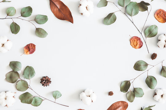 Autumn composition. Frame made of eucalyptus branches, cotton flowers, dried leaves on white background. Autumn, fall concept. Flat lay, top view, copy space