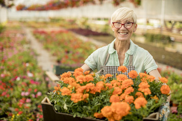 Senior woman holding basket full of flowers