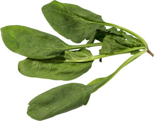 Spinach