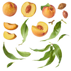 Set with different parts of fresh ripe peaches and leaves