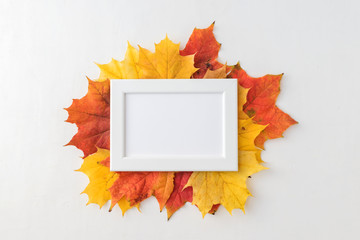 Bright autumn leaves on a light background