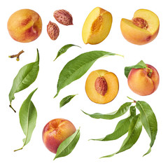 Set with different parts of fresh ripe peaches and leaves