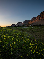 Fototapeta premium Logan Pass Trail Sunset at Glacier National Park