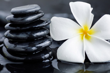 Plumeria flower and spa stones