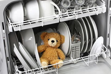 teddy bear should never put in the dishwasher.