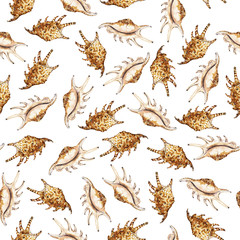 Seamless pattern with seashells on white background. Hand drawn watercolor illustration.