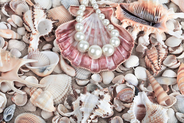 Seashells and pearls as background. Sea shells