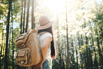 Handsome traveler woman with backpack and hat standing in forest. Young hipster girl walking among trees on sunset