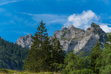Naklejka premium Idylle in den Schweizer Bergen im Sommer