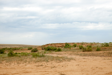 Bushes and trees on a sand quarry with a dry day