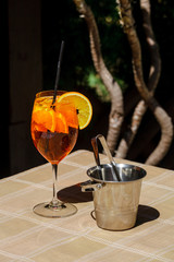 Aperol spritz cocktail glass plaid table leaves sun orange ice bucket shadow sunlight