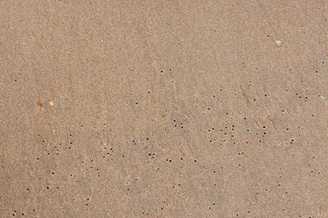Fototapeta na wymiar The texture of wet sand. The view from the top.