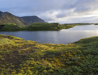 Obraz premium Northern landscape with green grass mossed creek banks in Hornstrandir Iceland, snow patched hills and cliffs, cloudy sky background, golden hour light, copy space