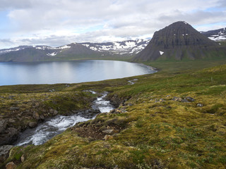 Northern summer landscape, beautiful snow covered cliffs and Alfsfell mountain, sea in Hloduvik cove with wild water stream, green meadow, clouds,  in Hornstrandir, west fjords, Iceland