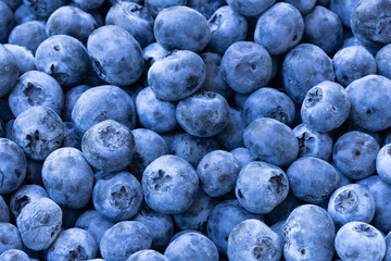 Pile of blueberries up close.