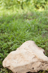 Background image. Stone in the garden.