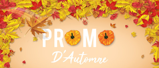 Promo D'Automne