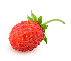 Wild strawberry isolated on white background, clipping path, full depth of field