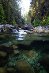 Naklejka na ściany i meble Over and Under picture of a beautiful Canyon in Lynn Valley, North Vancouver, British Columbia, Canada.