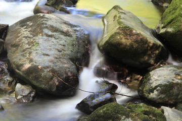Long Exposure into the wild