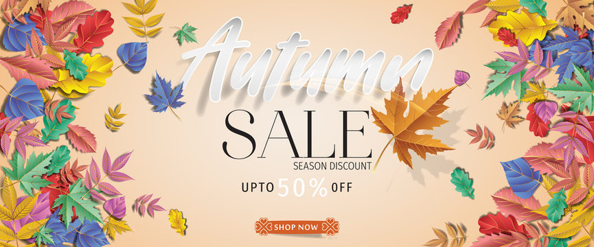Autumn sale background layout decorate with leaves for shopping sale or promo. Autumn special offer design vector.