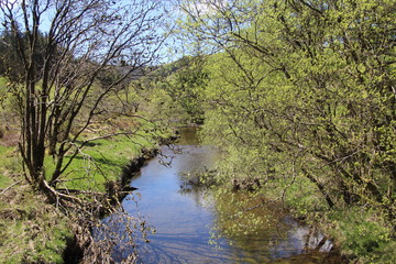 Nature Landscape Background