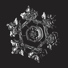 Glossy snowflake on black background. This vector illustration based on macro photo of real snow crystal: small star plate with six short, broad arms, relief surface and complex inner structure.