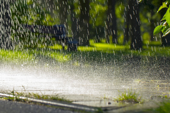 Drops Of Warm Summer Rain, Falling On The Asphalt